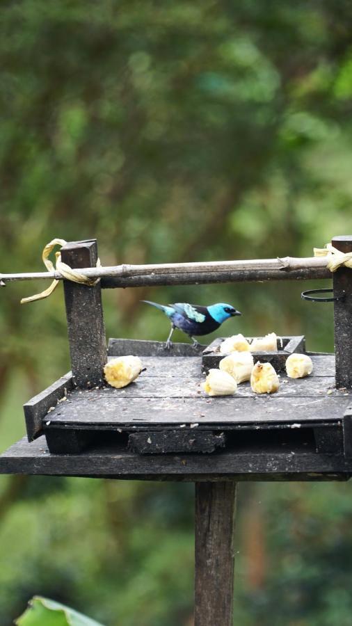 Creo Ecolodge Jardin Luaran gambar