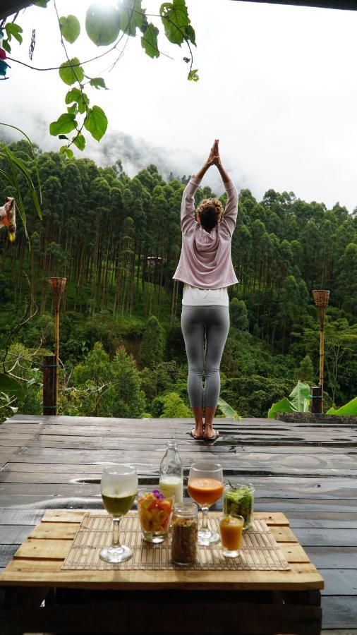 Creo Ecolodge Jardin Luaran gambar